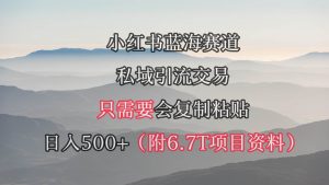 小红书短剧赛道，私域引流交易，会复制粘贴，日入500+（附6.7T短剧资源）倾城领域-倾城领域