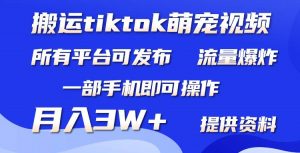 搬运Tiktok萌宠类视频，一部手机即可。所有短视频平台均可操作，月入3W+倾城领域-倾城领域
