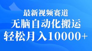 最新视频赛道 无脑自动化搬运 轻松月入10000+倾城领域-倾城领域
