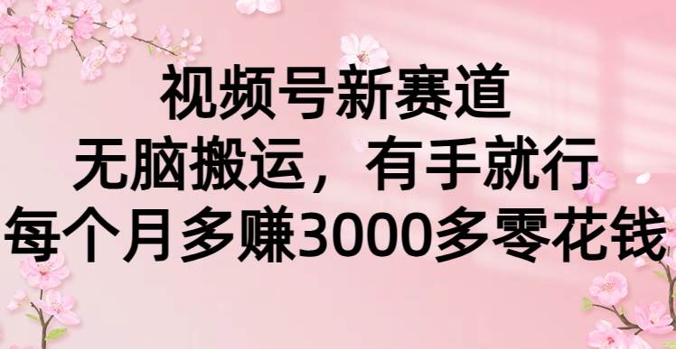 视频号新赛道，无脑搬运，有手就行，每个月多赚3000多零花钱倾城领域-倾城领域