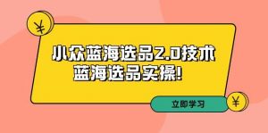 拼多多培训第33期：小众蓝海选品2.0技术-蓝海选品实操！倾城领域-倾城领域