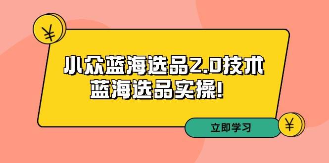 拼多多培训第33期：小众蓝海选品2.0技术-蓝海选品实操！倾城领域-倾城领域