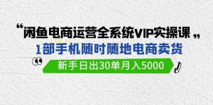 闲鱼电商运营全系统VIP实战课，1部手机随时随地卖货，新手日出30单月入5000倾城领域-倾城领域