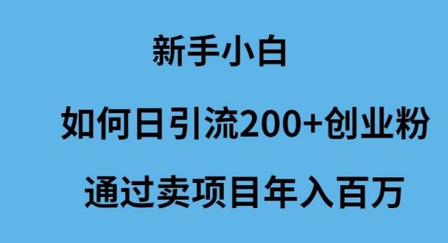 新手小白如何日引流200+创业粉通过卖项目年入百万倾城领域-倾城领域