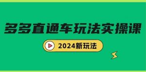 多多直通车玩法实战课，2024新玩法（7节课）倾城领域-倾城领域