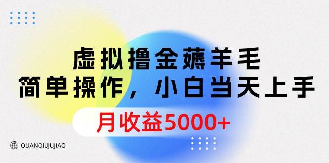 虚拟撸金薅羊毛，简单操作，小白当天上手，月收益5000+倾城领域-倾城领域