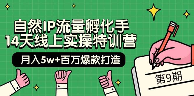 自然IP流量孵化手 14天线上实操特训营【第9期】月入5w+百万爆款打造 (74节)倾城领域-倾城领域