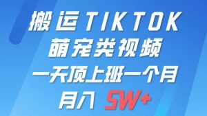 一键搬运TIKTOK萌宠类视频 一部手机即可操作 所有平台均可发布 轻松月入5W+倾城领域-倾城领域