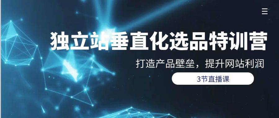 独立站-垂直化选品训练营，打造产品壁垒，提升网站利润（3节直播课）倾城领域-倾城领域