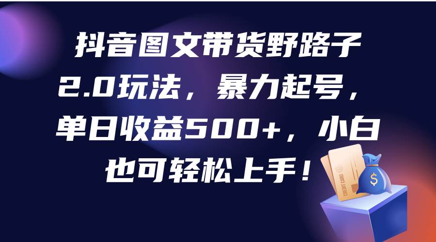 抖音图文带货野路子2.0玩法，暴力起号，单日收益500+，小白也可轻松上手！倾城领域-倾城领域
