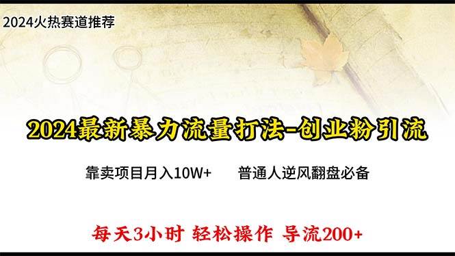 2024年最新暴力流量打法，每日导入300+，靠卖项目月入10W+倾城领域-倾城领域