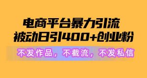 电商平台暴力引流,被动日引400+创业粉不发作品，不截流，不发私信倾城领域-倾城领域