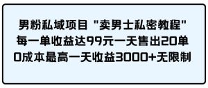 男粉私域项目 卖男士私密教程 每一单收益达99元一天售出20单倾城领域-倾城领域