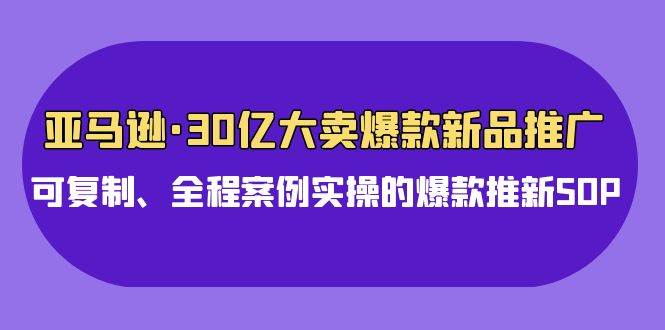 亚马逊30亿·大卖爆款新品推广，可复制、全程案例实操的爆款推新SOP倾城领域-倾城领域
