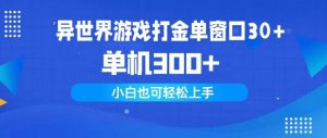 异世界游戏打金单窗口30+单机300+小白轻松上手倾城领域-倾城领域