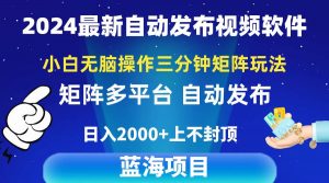 2024最新视频矩阵玩法，小白无脑操作，轻松操作，3分钟一个视频，日入2k+倾城领域-倾城领域