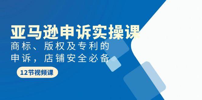 亚马逊-申诉实战课，商标、版权及专利的申诉，店铺安全必备倾城领域-倾城领域