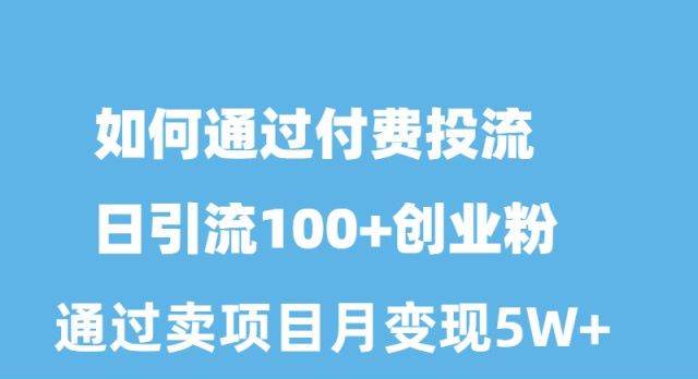 如何通过付费投流日引流100+创业粉月变现5W+倾城领域-倾城领域