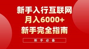 互联网新手月入6000+完全指南 十年创业老兵用心之作，帮助小白快速入门倾城领域-倾城领域