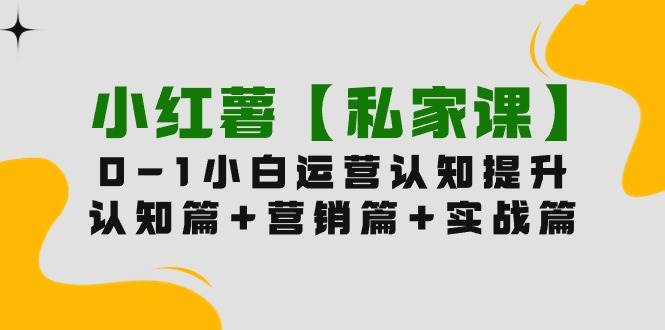 小红薯【私家课】0-1玩赚小红书内容营销，认知篇+营销篇+实战篇（11节课）倾城领域-倾城领域