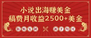 小说出海赚美金，稿费月收益2500+美金，仅需chatgpt粘贴复制，新手也能玩转倾城领域-倾城领域