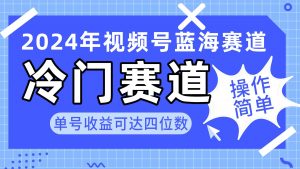 2024视频号冷门蓝海赛道，操作简单 单号收益可达四位数（教程+素材+工具）倾城领域-倾城领域