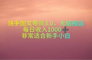 快手图文带货3.0，无脑搬运，每日收入1000＋，非常适合新手小白倾城领域-倾城领域