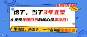 悟了，当了3年韭菜，才发现网赚圈年赚100万的核心是卖项目，含泪分享！倾城领域-倾城领域