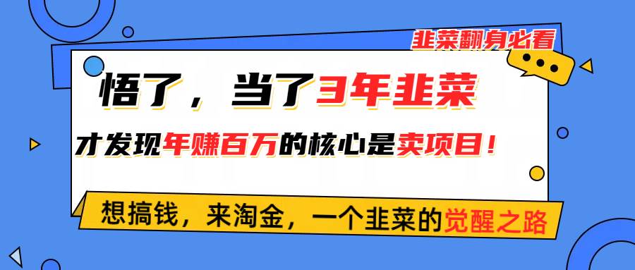 悟了，当了3年韭菜，才发现网赚圈年赚100万的核心是卖项目，含泪分享！倾城领域-倾城领域