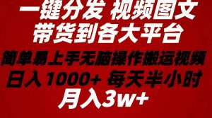 2024年 一键分发带货图文视频  简单易上手 无脑赚收益 每天半小时日入1…倾城领域-倾城领域