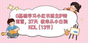 0基础学习小红书博主IP特训营，37天 教你从小白到KOL（13节）倾城领域-倾城领域