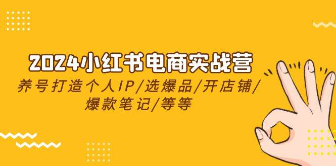 2024小红书电商实战营，养号打造IP/选爆品/开店铺/爆款笔记/等等（24节）倾城领域-倾城领域