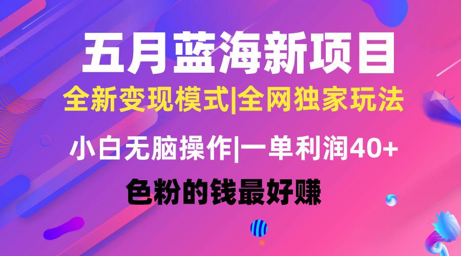五月蓝海项目全新玩法，小白无脑操作，一天几分钟，矩阵操作，月入4万+倾城领域-倾城领域