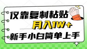 仅靠复制粘贴，被动收益，轻松月入1w+，新手小白秒上手，互联网风口项目倾城领域-倾城领域