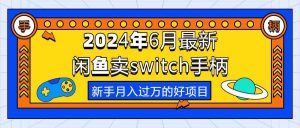 2024年6月最新闲鱼卖switch游戏手柄，新手月入过万的第一个好项目倾城领域-倾城领域