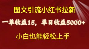 图文引流小红书拉新一单15元，单日暴力收益5000+，小白也能轻松上手倾城领域-倾城领域