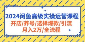 2024闲鱼高级实操运营课程：开店/养号/选择爆款/引流/月入2万/全流程倾城领域-倾城领域