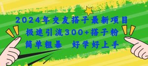 2024年交友搭子最新项目，极速引流300+搭子粉，简单粗暴，好学好上手倾城领域-倾城领域