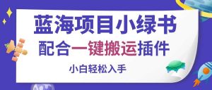 蓝海项目小绿书，配合一键搬运插件，小白轻松入手倾城领域-倾城领域