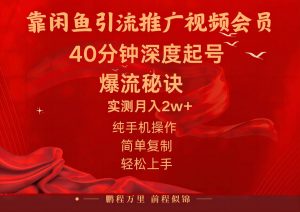 闲鱼暴力引流推广视频会员，能做到日入2W+，操作简单倾城领域-倾城领域