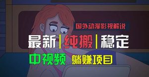 国外动漫影视解说，批量下载自动翻译，纯搬运稳定过原创，小白也能轻松…倾城领域-倾城领域