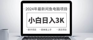 2024最新闲鱼卖电脑项目，新手小白日入3K+，最真实的项目教学倾城领域-倾城领域