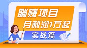 躺赚副业项目，月利润1万起，当天见收益，实战篇倾城领域-倾城领域