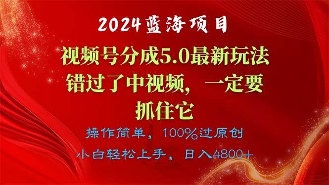 2024蓝海项目，视频号分成计划5.0最新玩法，错过了中视频，一定要抓住…倾城领域-倾城领域