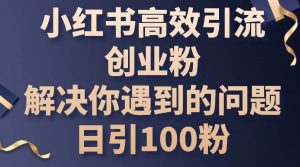 小红书高效引流创业粉，解决你遇到的问题，日引100粉倾城领域-倾城领域