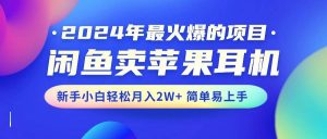 2024年最火爆的项目，闲鱼卖苹果耳机，新手小白轻松月入2W+简单易上手倾城领域-倾城领域