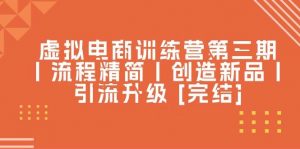虚拟电商训练营第三期丨流程精简丨创造新品丨引流升级 [完结]倾城领域-倾城领域