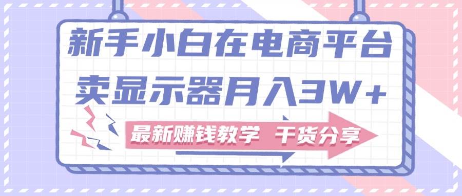 新手小白如何做到在电商平台卖显示器月入3W+，最新赚钱教学干货分享倾城领域-倾城领域