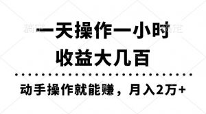 一天操作一小时，收益大几百，动手操作就能赚，月入2万+教学倾城领域-倾城领域