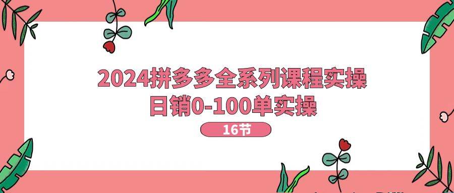 2024拼多多全系列课程实操，日销0-100单实操【16节课】倾城领域-倾城领域